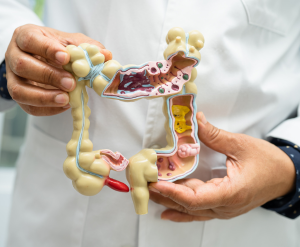 Heals Intestinal Lining